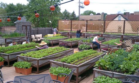 rooftop vegetable garden planters